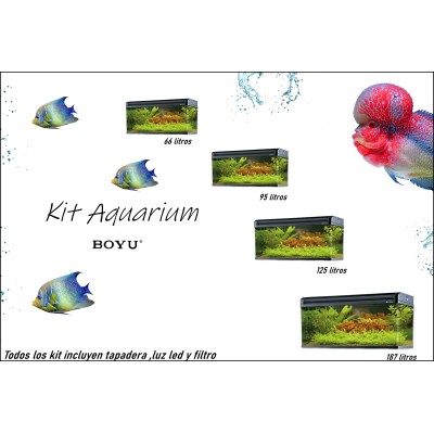 Kit Aquarium BOYU Standar
